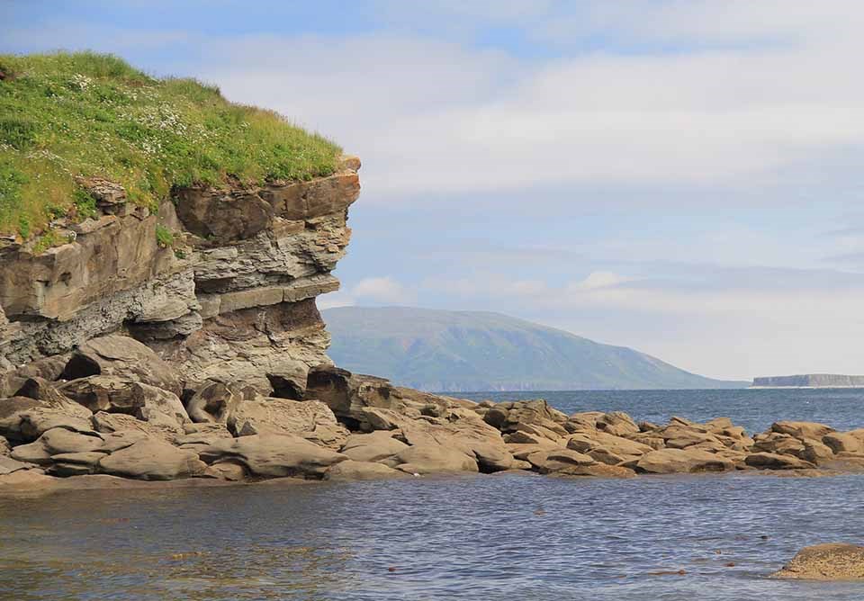 A photo of the rock formation and outcrop where the fossils are found.