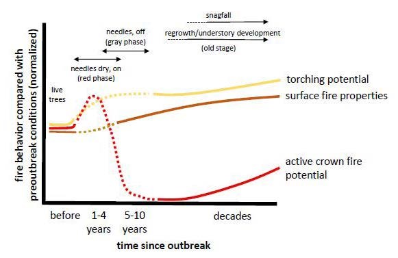 Conceptual framework of fire behavior relative to preoutbreak conditions for red, gray, and old phases, before and at different times following an outbreak.