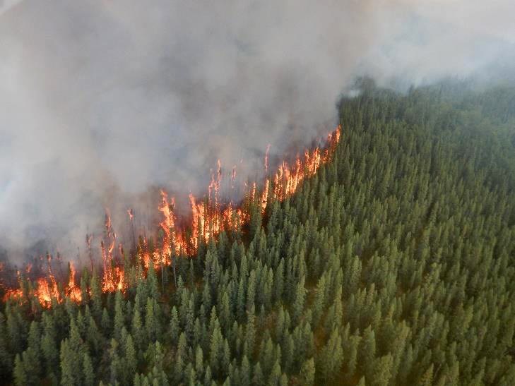 Fire burns in Yukon-Charley Rivers National Preserve A wildfire in Yukon-Charley Rivers National Preserve burns through spruce trees causing torching flames and dense smoke.