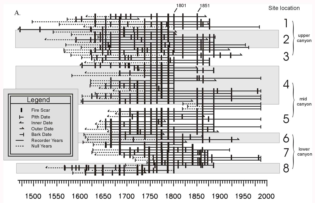 black and white graph showing fire chronology