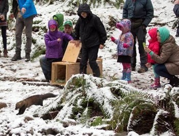 A fisher bounds out of a wooden box while children and people watch.