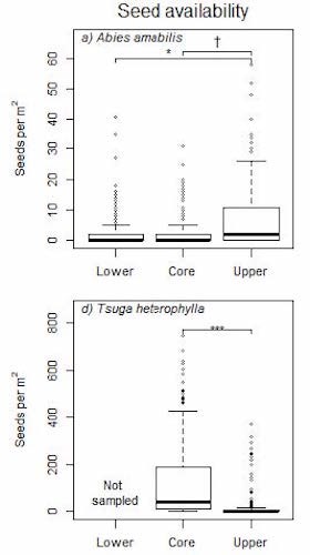 Seed availability Two graphs that show the seed availability of two species per meter squared.