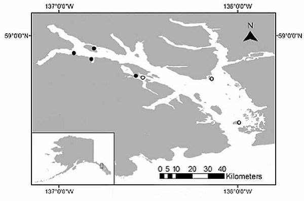 Map of field sites in Glacier Bay, Alaska