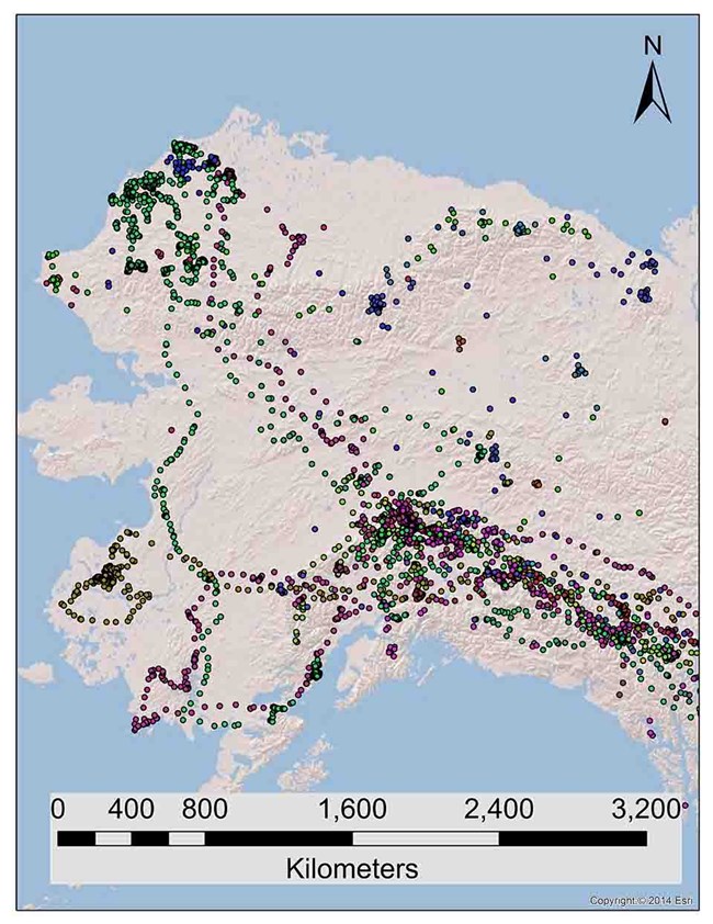 Map of Golden Eagle locations.