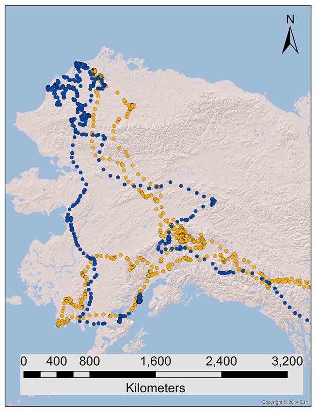 Map of golden eagle locations.