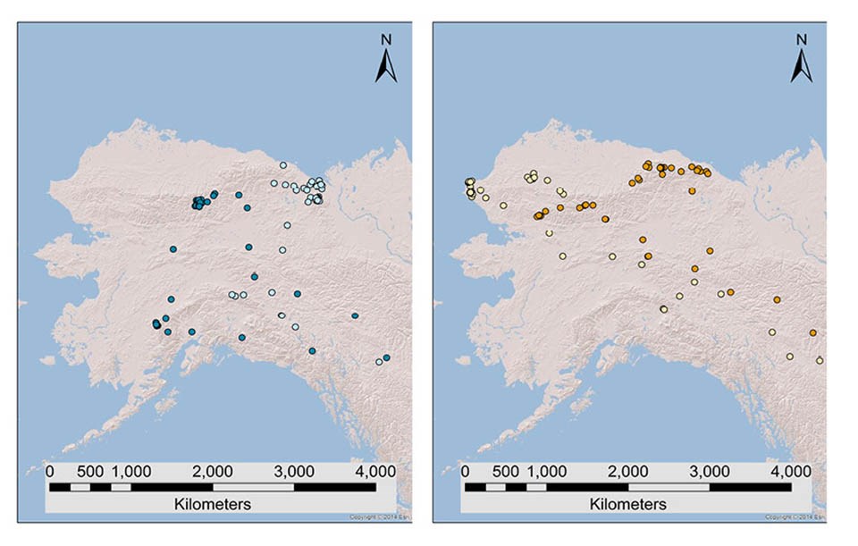 A series of two maps showing eagle telemetry data.