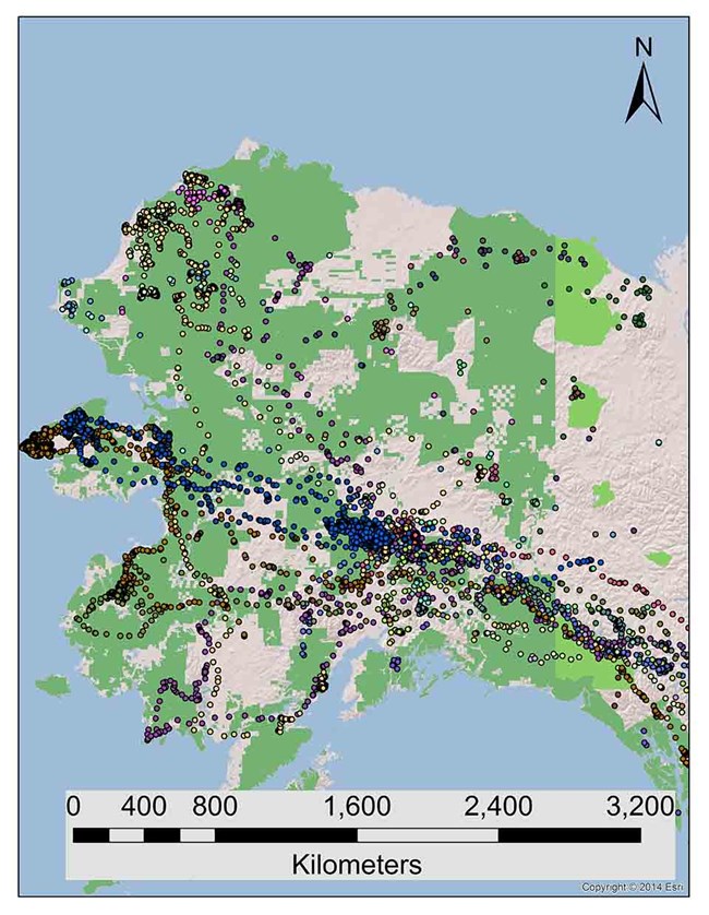 Map of Alaska with telemetry data locations for golden eagles.