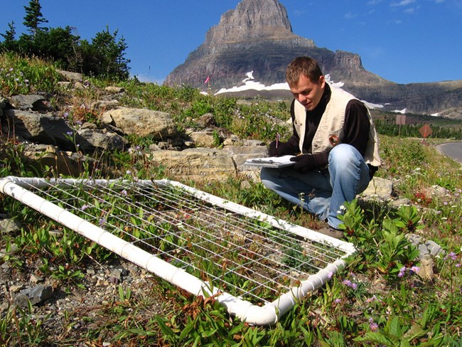 Monitoring plot in GLAC Park scientist recording monitoring data on a clipboard