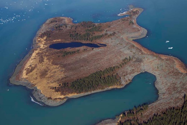 An aerial view of a spit of land where forest was decimated by a tsunami.