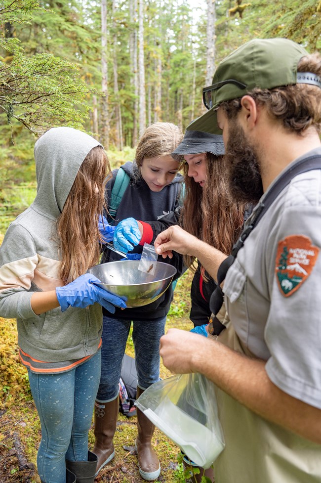 Three volunteers with a park ranger look at dragonfly larvae.