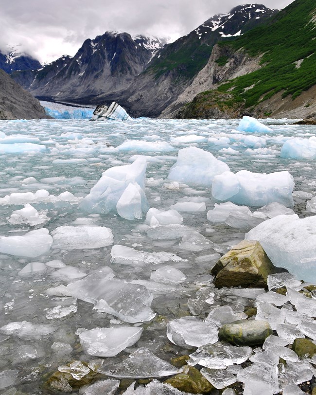 ice floating on inlet, tidewater glacier in distance ice floating on inlet, tidewater glacier in distance