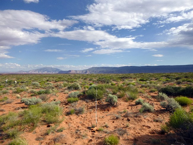 Large expanse of sandy shrubland with mountains in the distance.