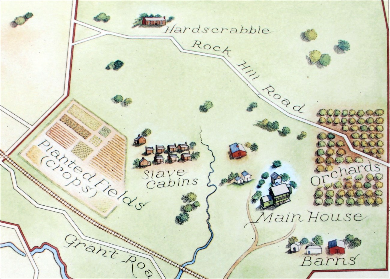 Map of Grant property.