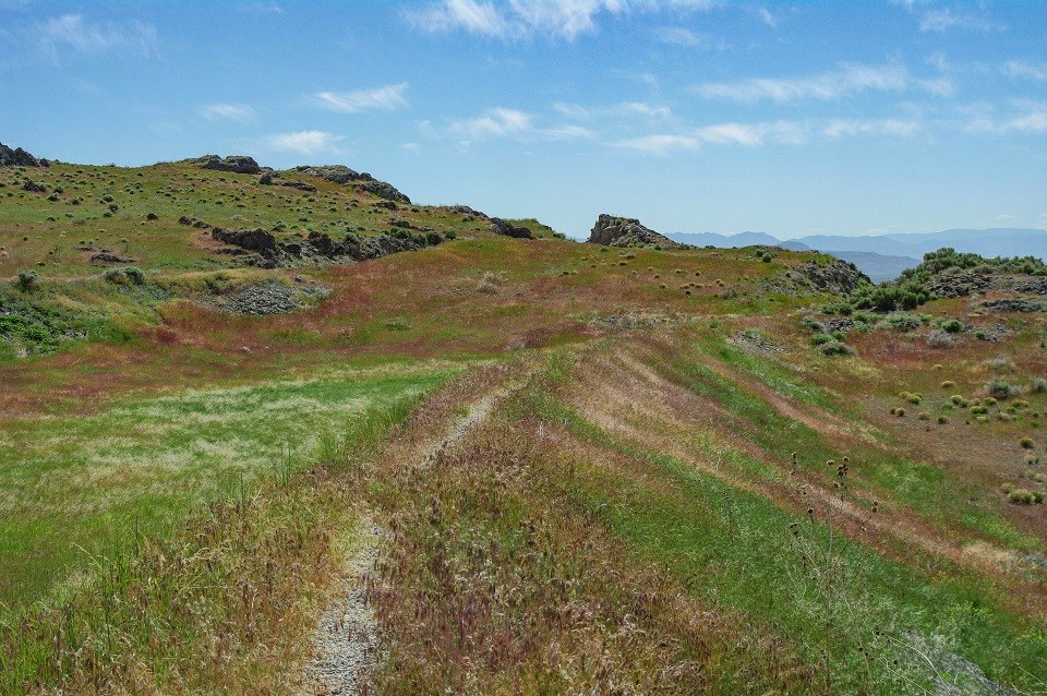 Trail on a grassy hillside