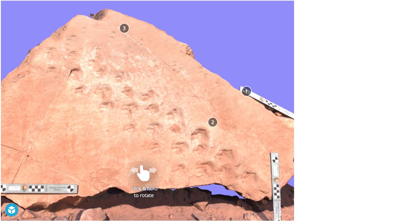 3d model of a block of rock with fossils tracks on the surface