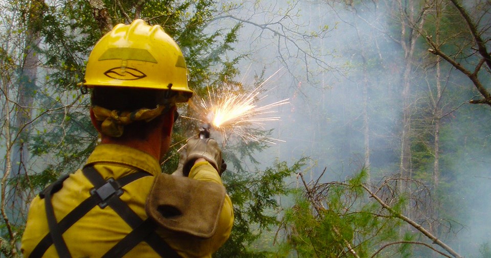 Wildland firefighter uses a flare gun to ignite a prescribed fire in a wooded area.