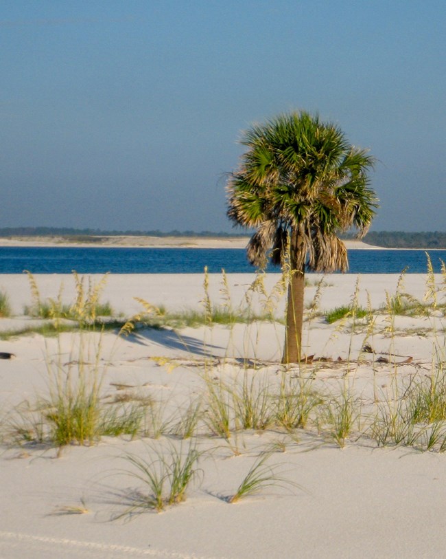 GUIS_santa_rosa_beach_nocover sandy beach
