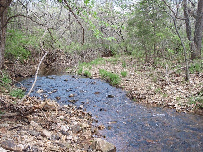 Harkin's Branch at George Washington Carver National Monument