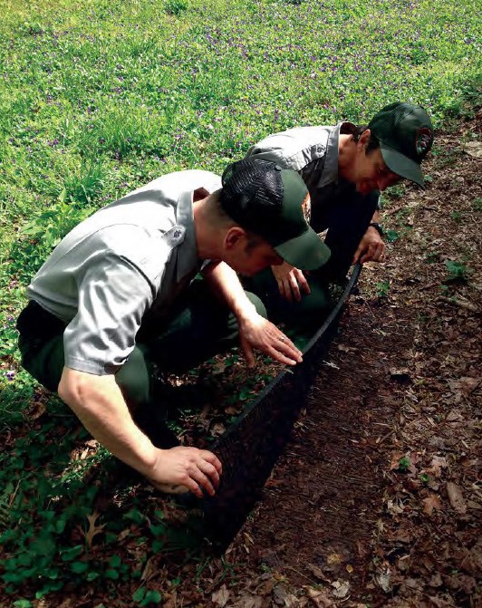 Citizen science at GWMP