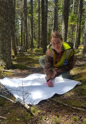 Gardner_Field_Photo3 researcher in bright yellow vest crouched over white sheet on ground with tweezers