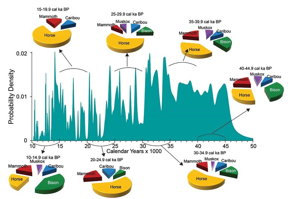 A series of pie charts showing species composition over time related to ice ages.