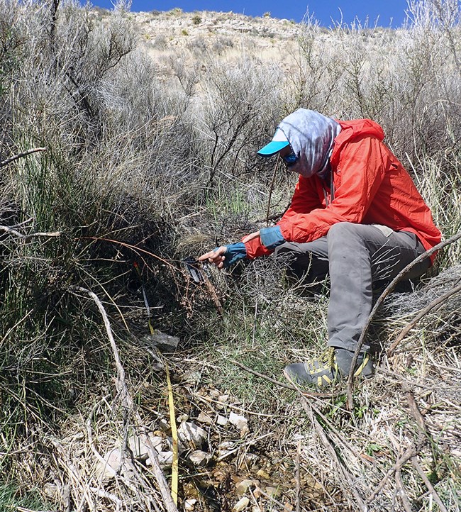 One person crouched near a measuring tape  along a narrow damp area of ground.