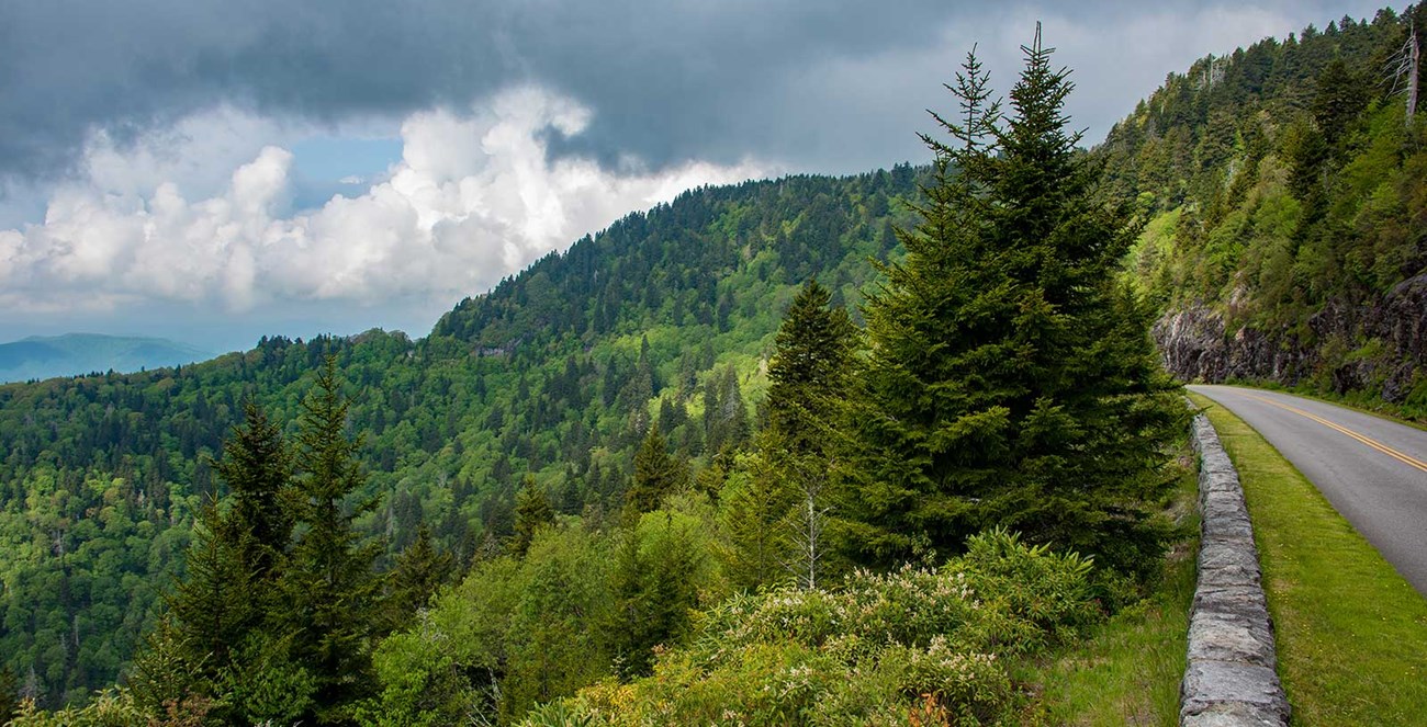 A road runs along the side of a mountain, with lush green forests below and other mountains in the distance