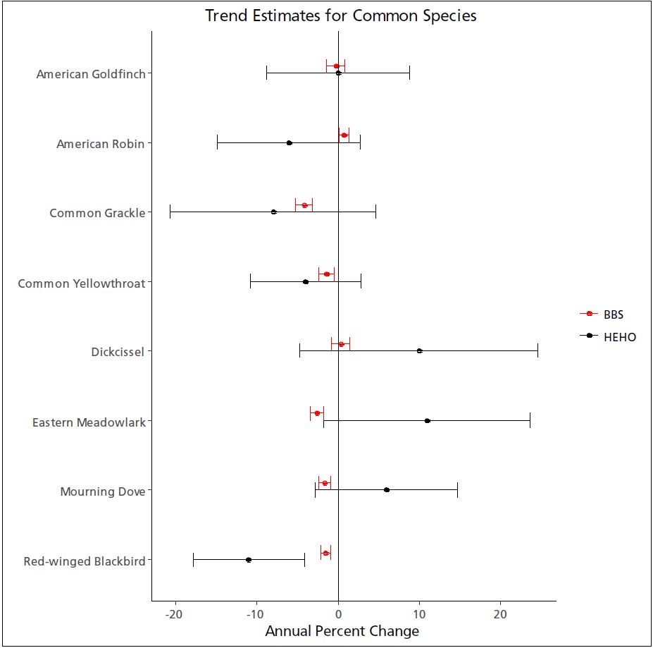 Graph of trend estimates for common bird species at HEHO