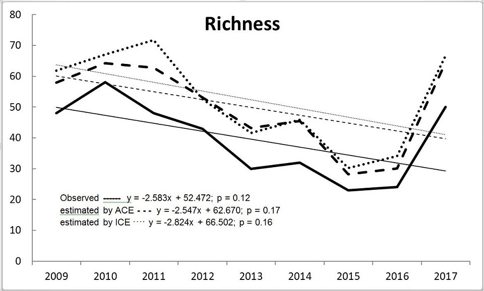 Graph showing richness for birds at Homestead.