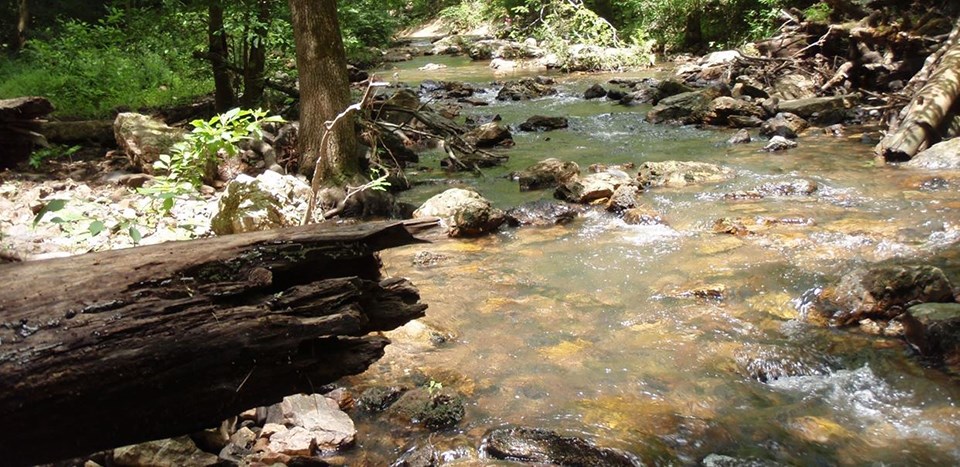 Gulpha Creek at Hot Springs National Park