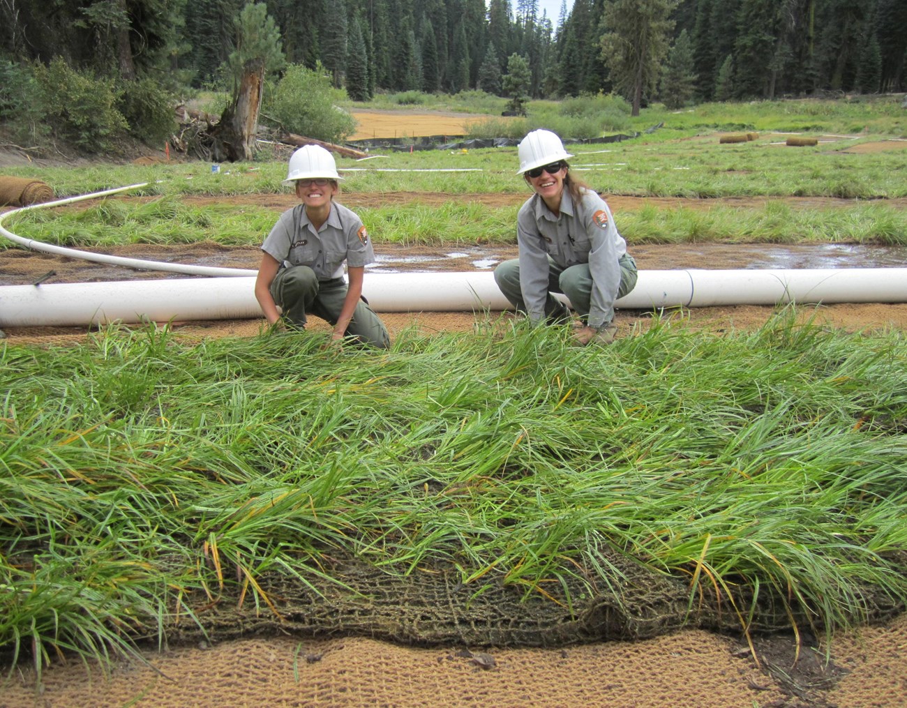 Halstead Meadow two women kneel in wetland