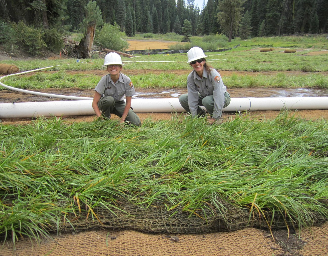 two women kneel in wetland