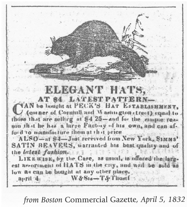 Newspaper clipping with a printed image of a beaver and description of prices for "Elegant hats."