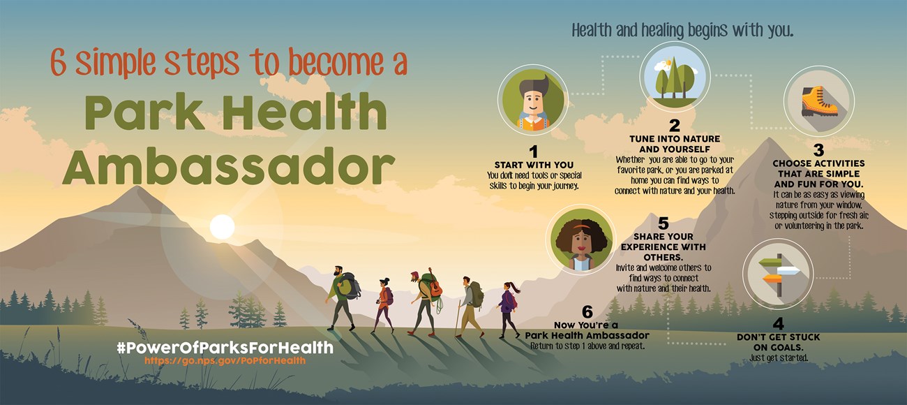 Infographic describing the six steps to becoming a park health ambassador within the power of parks for health initiative.
