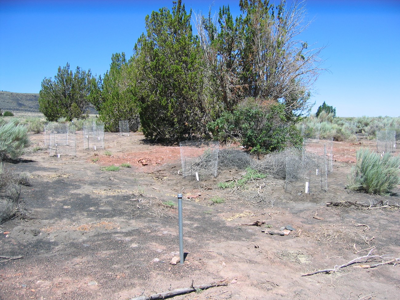 Landscape with sparsely vegetated ground in foreground and capped pipe sticking out of the ground.