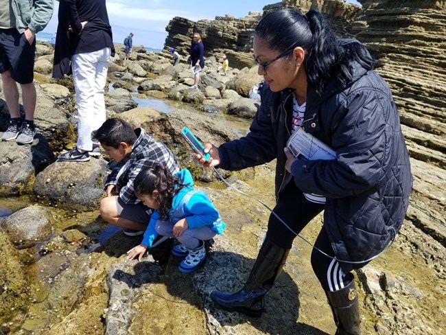 A mother uses iNaturalist to take a photo of an organism in the tidepools while her two children explore next to her.