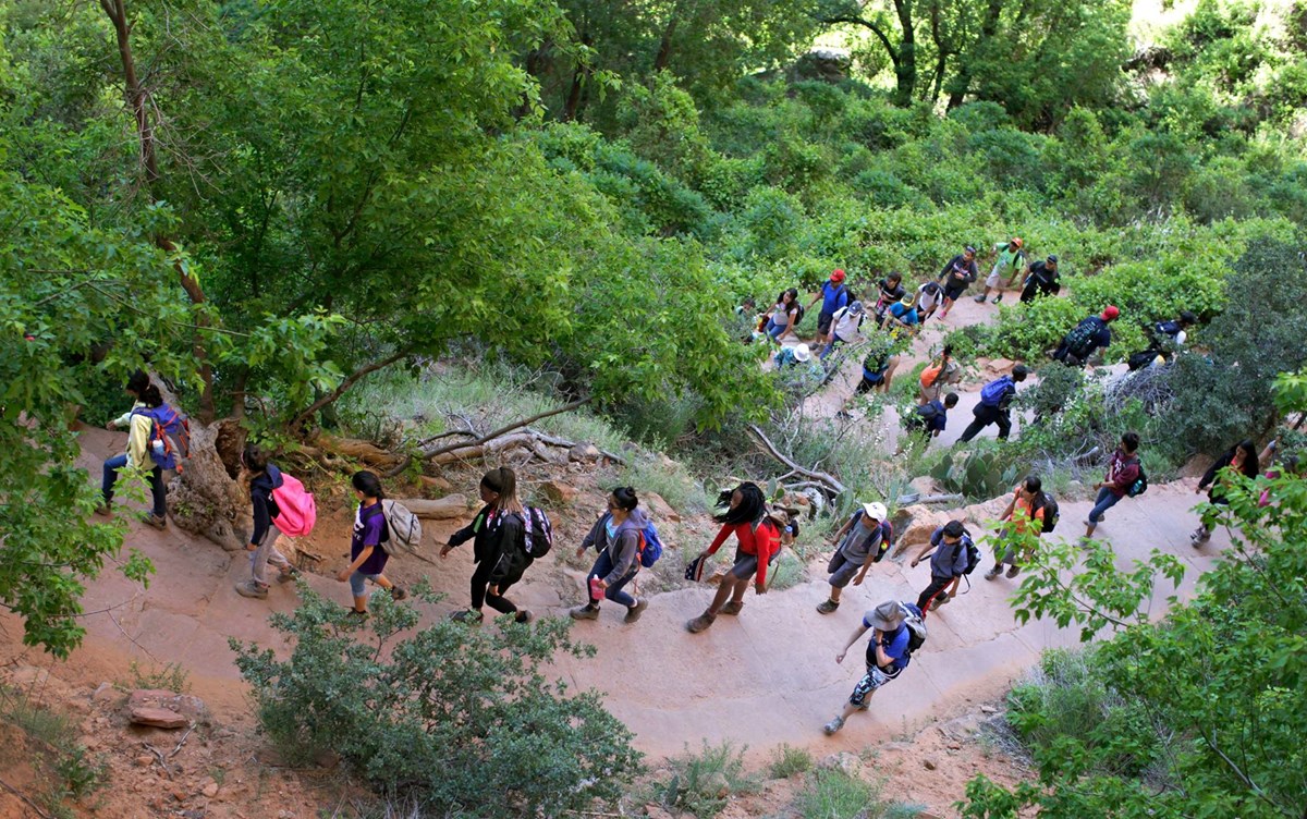 Hike Zion Hikers in Zion National Park
