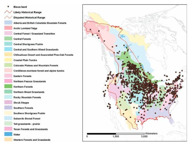 A map depicting the historic range of bison, showing them heavily populated in the Northern US