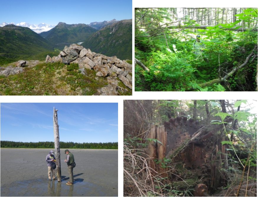 Howell Collage a collage of four images: mountains, vegetation, a large tree stump, and a dead tree