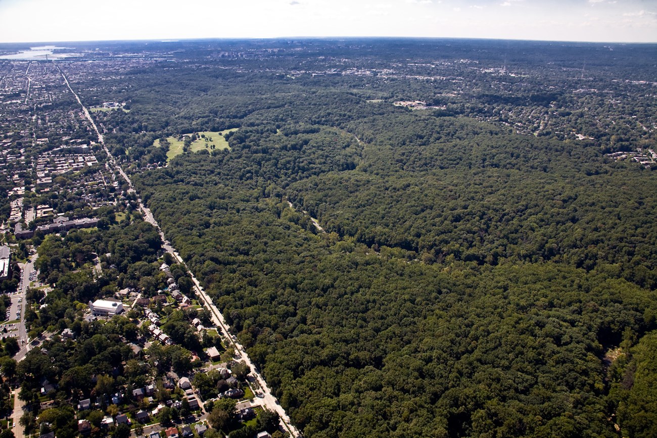 Aerial view of the eastern boundary of Rock Creek Park, showing the divide between forest and urban development.