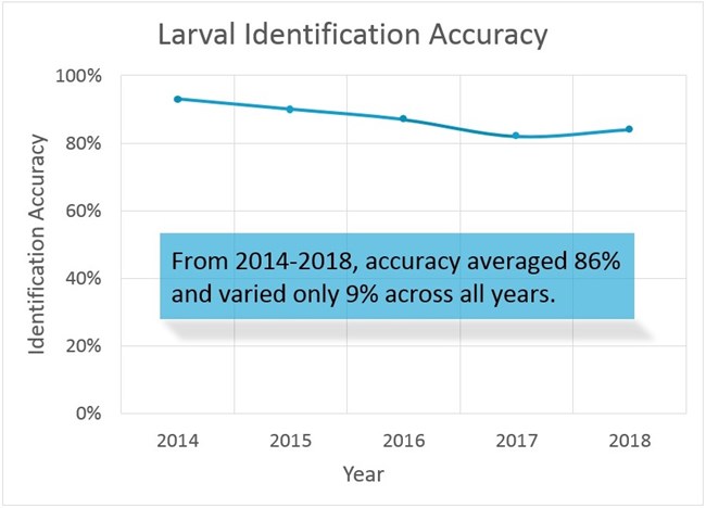 Line graph. Y axis: larval accuracy rate. X axis: years. 2014: 93%. 2015: 90%. 2016: 87%. 2017: 82%. 2018: 84%.