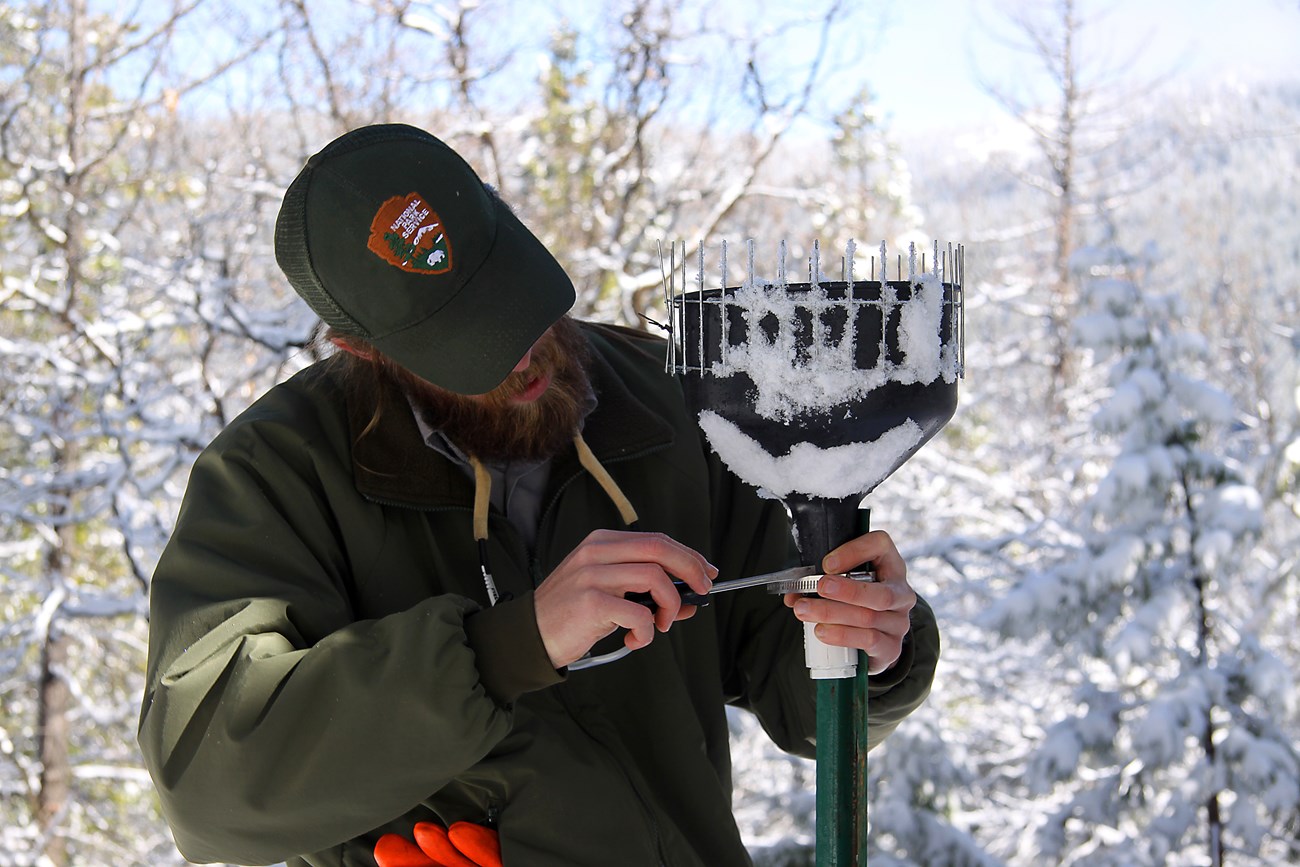 man works on nitrogen deposition collector