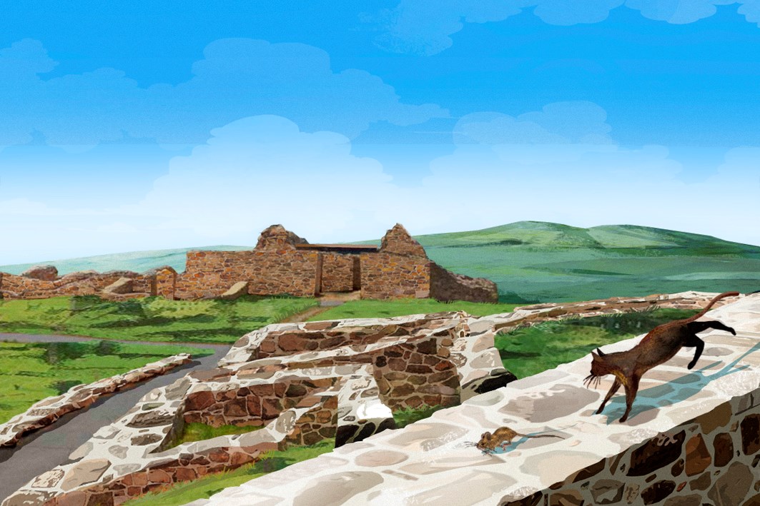 ILUSTRACION FINAL -3 -QUIVIRA Interpretation of the Gran Quivira Complexwith a cat chasing a mouse