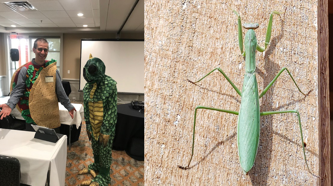 Two people in halloween costumes and a mantis on a wall
