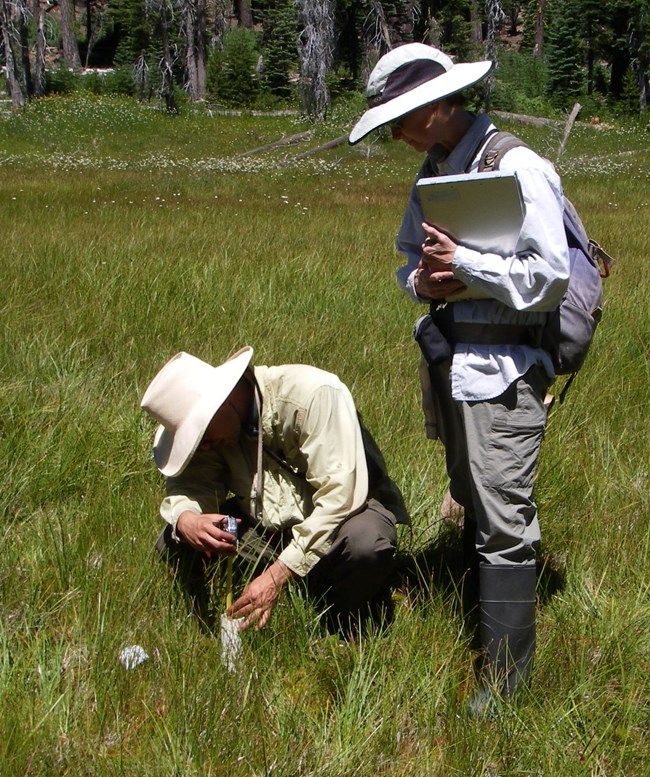 Scientists at a groundwater monitoring well