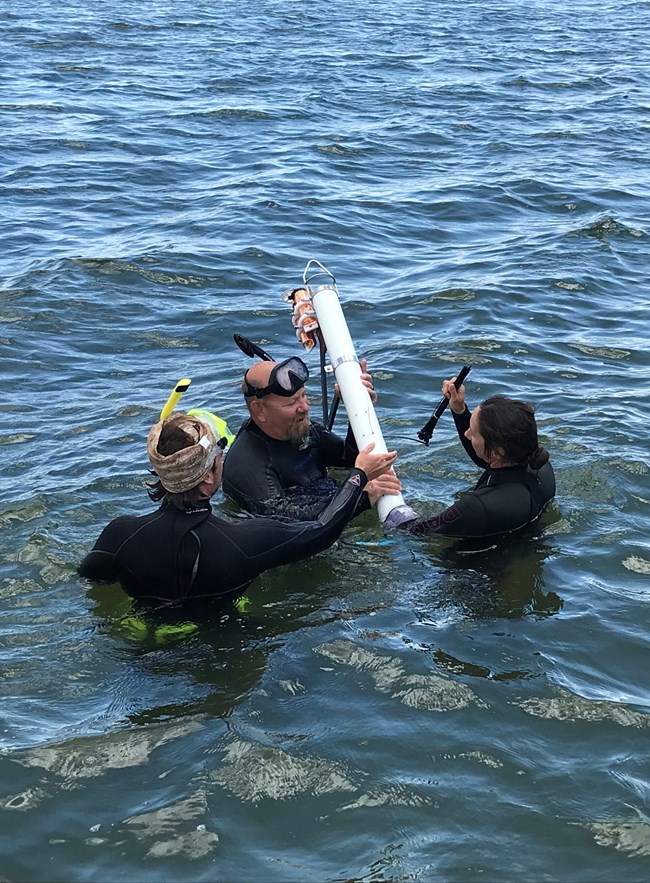researchers deploying light sensors while wearing wetsuits in the ocean