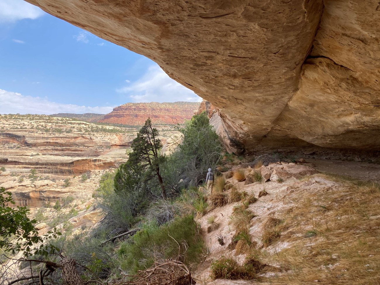 View of a person walking beneath a large sandstone overhang with desert cliffs and canyons stretching into the distance.