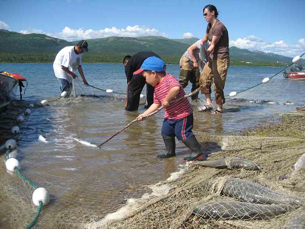 A family harvests salmon.