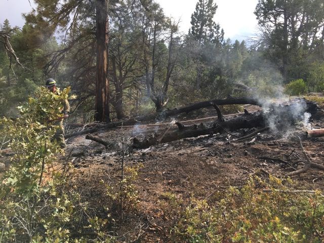 Jolley Gulch Fire  July 23, 2017