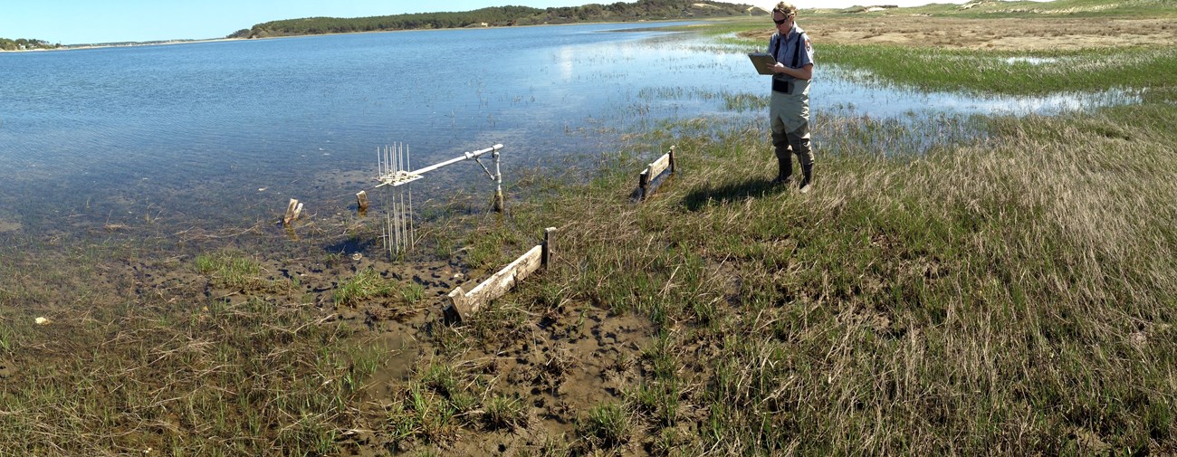 a researcher stands on a marsh writing down data on a clip board